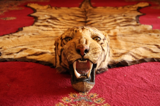 A tiger rug really sets the mood. 